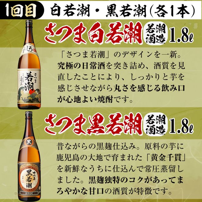 ≪定期便・全3回≫志布志の本格芋焼酎を飲み比べ！志布志焼酎紀行 計10L以上 t0059-001