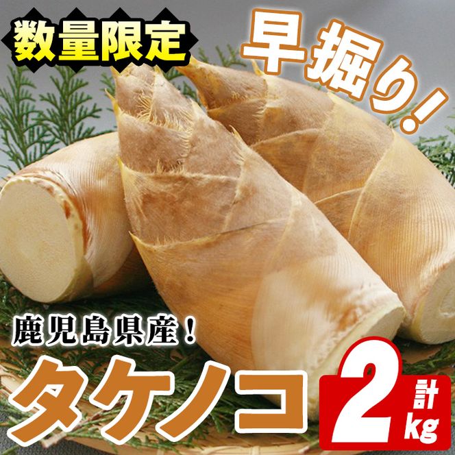 yvszs\tI2026N3ȍ~\聄YI@^PmR(2kg) Y   ̂ | t  {yݔ_Ƌgzakn018-23