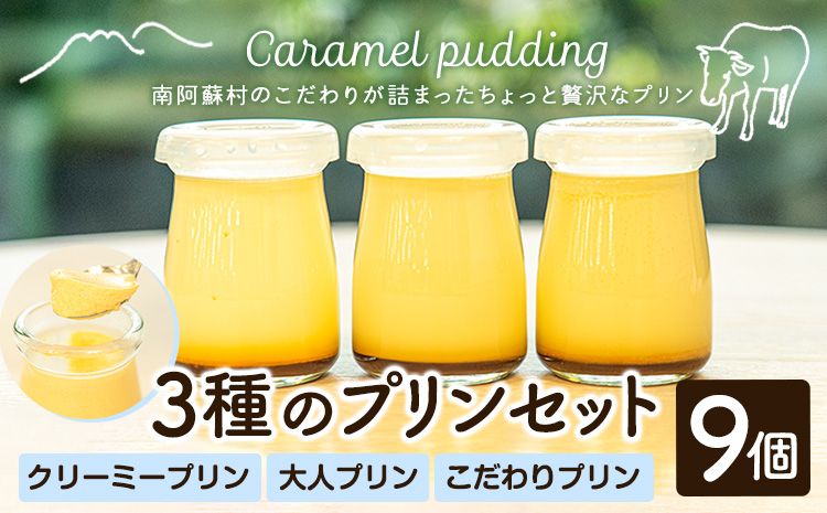 プリン 南阿蘇のプリン専門店 キャラメルプディング 人気プリン3種×3個セット 計9個お届け[60日以内に出荷予定(土日祝を除く)]プリン 南阿蘇こだわりプリン 大人プリン クリーミープリン 手作り 阿蘇小国ジャージー牛乳 お菓子 スイーツ お土産---sms_ckyapudding_60d_r7_14000_9p---