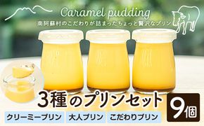 プリン 南阿蘇のプリン専門店 キャラメルプディング 人気プリン3種×3個セット 計9個お届け《60日以内に出荷予定(土日祝を除く)》プリン 南阿蘇こだわりプリン 大人プリン クリーミープリン 手作り 阿蘇小国ジャージー牛乳 お菓子 スイーツ お土産---sms_ckyapudding_60d_r7_14000_9p---