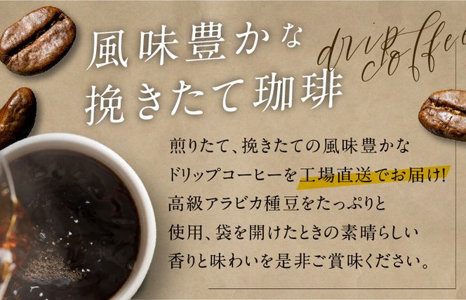 099Z148 ドリップコーヒー 5種 50袋 定期便 全3回 飲み比べセット【毎月配送コース】