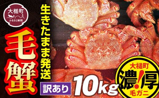 [令和7年発送先行予約][訳あり]活毛ガニ 10kg[2025年2月〜4月発送][配送日指定不可] [0tsuchi01009-24-3][08]