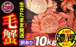 【令和7年発送先行予約】【訳あり】活毛ガニ 10kg【2025年2月〜4月発送】【配送日指定不可】 【0tsuchi01009-24-3】【08】