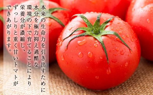こだわりトマトジュース ～凜花～ 3本セット＜吉川農園＞