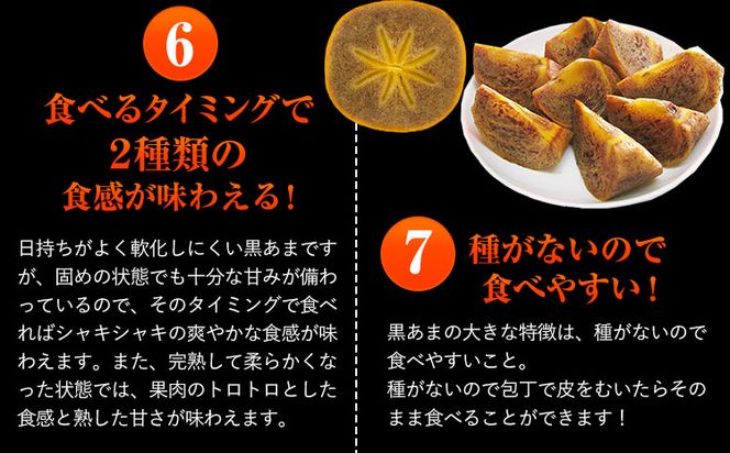 お試し用! 高級ブランド柿「黒あま」 紀の川柿 約1.5kg(4～6個) 4L～2L《2026年10月中旬-11月末頃出荷》和歌山県 紀の川市 たねなし柿 くろあま 高級 産地直送 かき 柿 カキ 果物 フルーツ お試し---wfn_wlocal80_10c11m_25_8000_15---