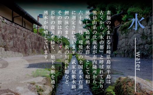 【モチモチでつるっと食感！細うどんが最高！】 こだわりの麺匠が創る 島原 手延 細うどん 9袋 (54束・2.7キロ) / うどん 南島原市 / ふるさと企画 [SBA028] 
