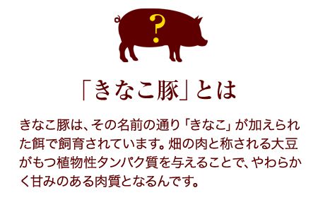 きな粉豚ロース手造りみそ漬け 約100g×10枚《90日以内に出荷予定(土日祝除く)》※1枚ずつ真空パック 肉のみやべ---mifune_myb_24_10mai---