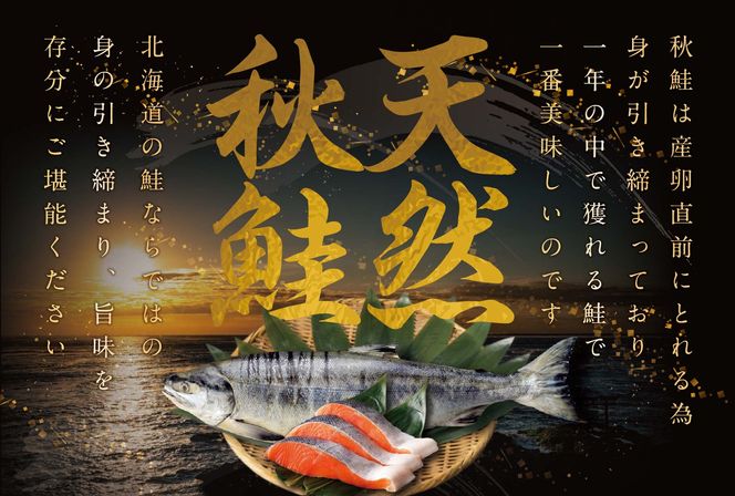 ★N15 こだわり熟成 秋鮭切身 15切（1切×15pc）【NK000N150】