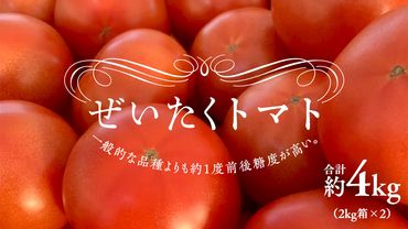 ぜいたくトマト！ 約2kg × 2箱 合計 約4kg ( 18～24個 ) トマト 大玉トマト  新鮮 美味しい 野菜 [J011-NT]