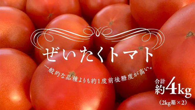 ぜいたくトマト！ 約2kg × 2箱 合計 約4kg ( 18～24個 ) トマト 大玉トマト  新鮮 美味しい 野菜 [J011-NT]