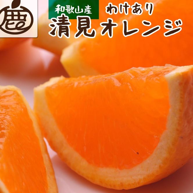 ＜4月より発送＞家庭用清見オレンジ5kg+150g（傷み補償分）【光センサー食頃出荷】【樹上完熟きよみオレンジ・清見タンゴール・清美】【わけあり・訳あり】 CZ034