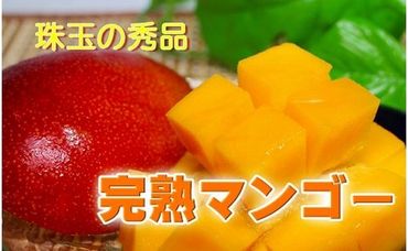 大崎町産　南国の恵み　冷凍完熟マンゴー【AS41】