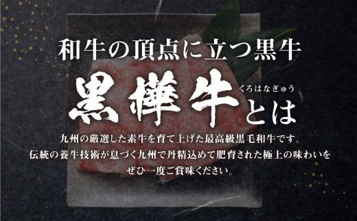 くまもと黒毛和牛 黒樺牛 A4~A5等級 ローススライス すき焼き用 400g 国産 九州 熊本県産 冷凍