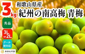 ［2026年6月上旬出荷］青梅 南高梅 3kg 秀品 3Lまたは2Lサイズ 和歌山県産 A品 梅酒作り用 梅ジュース作り用 AX93
