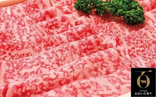 [スピード発送]E-02 「おおいた和牛」肩ロースすき焼き用(500g)
