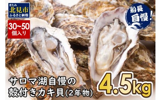 【予約：2024年10月下旬から順次発送】サロマ湖自慢の殻付きカキ貝 2年物 4.5kg詰め ( 牡蠣 かき 濃厚 魚介類 貝類 カキ ふるさと納税 牡蠣 北見市 BBQ )【114-0013-2024】