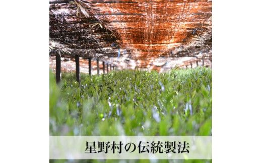 【2025年産】 八女茶 新茶 奥八女・星野村の伝統本玉露　80g