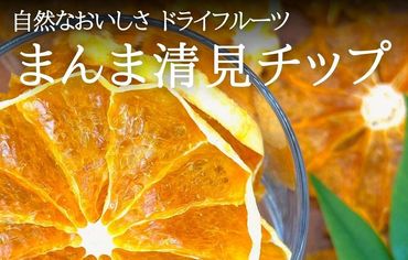 まんま清見(きよみ)チップ 200g(20ｇ×10袋) ドライフルーツ 和歌山県産果物使用 国内製造【みかんの会】AX267