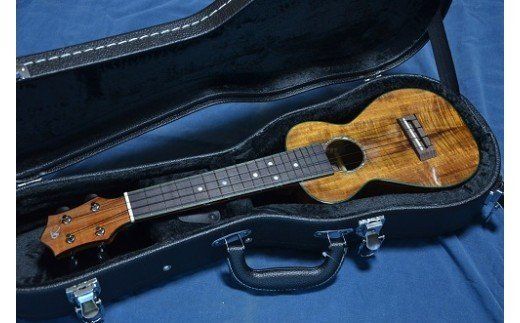 ソプラノロングネックウクレレ　楽器　弦楽器　音楽　演奏　数量限定　コンサート　ライブ　本格的