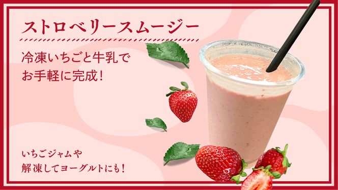 【 訳あり 】 冷凍 いちご 約1.5kg ( 500g × 3パック ) イチゴ 苺 アイス 冷たい 旬 凍眠 小分け 新鮮 お得 ふるさと納税 7000円 スムージー [AU091ya]