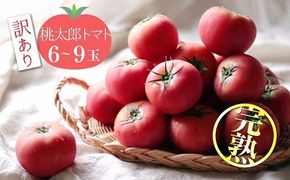 【訳あり】 この道40年の農家から直送 完熟！桃太郎トマト6～9玉　H139-019