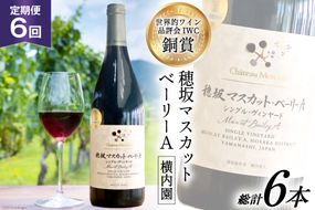 定期便 ワイン 赤 穂坂マスカット・ベーリーA シングル・ヴィンヤード 栽培責任者 横内栄人 750ml×6回 酒 赤ワイン/ シャトー・メルシャン 勝沼ワイナリー / 山梨県 韮崎市 [20743322]