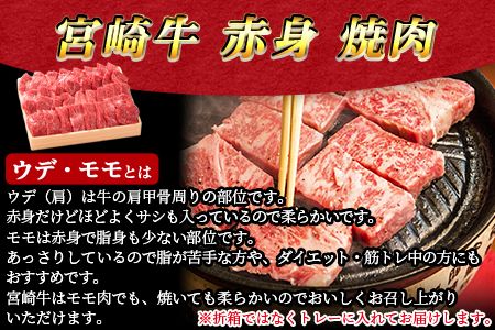 ＜宮崎牛赤身（ウデ・モモ）焼肉 500g＞翌月末迄に順次出荷【a0298_em_x3】