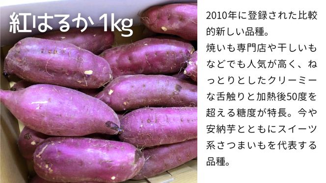 茨城名産 さつまいも 食べくらべ セット【ねっとり】 1kg × 3種 3kg サツマイモ 芋 詰合せ 野菜 スイーツ 焼き芋 紫芋 紅はるか ふくむらさき 姫あやか [AM136us]