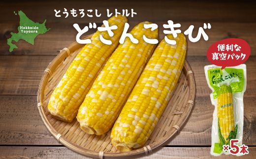 北海道産 とうもろこし 5本 どさんこきび TYUO003