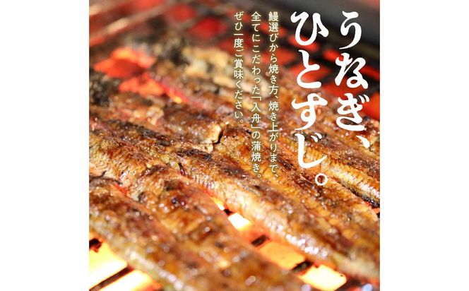 【E07004】入舟 うなぎ 蒲焼き