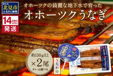 《14営業日以内に発送》オホーツクの綺麗な地下水で育った オホーツク うなぎ 2尾 ( 蒲焼 蒲焼き 丑の日 土用丑の日 )【160-0003】