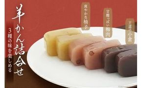3種の羊羹詰め合わせ [菓子司 梅家 福岡県 筑紫野市 10021] 和菓子 羊羹 ようかん お菓子 おかし 詰合せ 3種 セット 食べ比べ