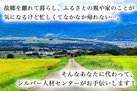 熊本県 長洲町ふるさと親孝行代行サービスB---sn_silvercenter_r7_10000_b---