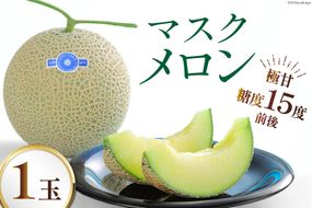 【期間限定発送】AB010 その道一筋の生産者がじっくり丁寧に育てた マスクメロン 1玉入