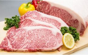 「佐賀牛」焼肉セット（ステーキ200g×4・焼肉用700g）【チルドでお届け!】N-91