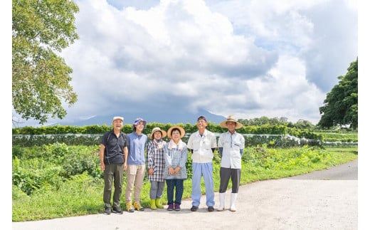 ブレンド赤白ワインセット『大山』【化粧箱入り】 ※着日指定不可 ※離島への配送不可