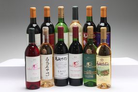 食の都庄内 月山ワイン12本セット 750ml 720nl 赤 白 辛口 やや辛口 甘口 ワイン 果実酒 ブドウ ぶどう 葡萄 山形
