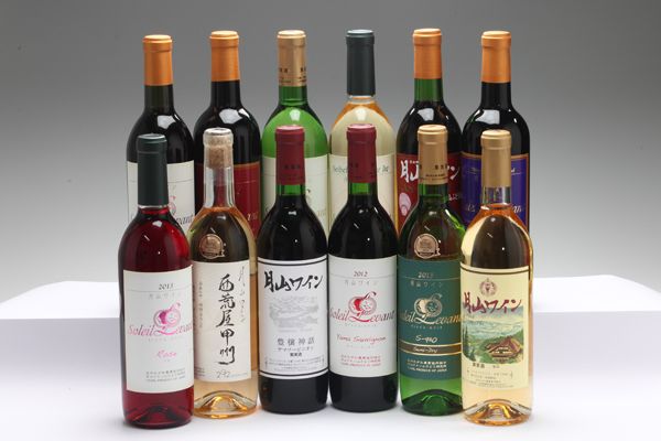 食の都庄内 月山ワイン12本セット 750ml 720nl 赤 白 辛口 やや辛口 甘口 ワイン 果実酒 ブドウ ぶどう 葡萄 山形