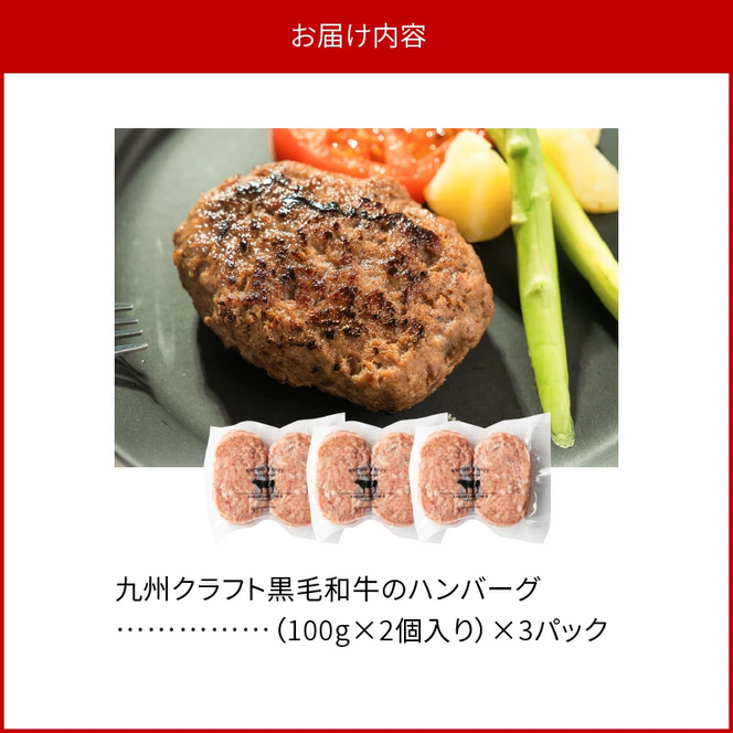 九州クラフト黒毛和牛のハンバーグ(100g×2個入り)×3パック　N0105-A0303