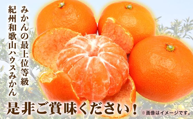 【先行予約】赤秀品 紀州和歌山 ハウス みかん 約 2.5kg 株式会社魚鶴商店《2027年6月下旬頃〜7月下旬頃出荷》和歌山県 日高町 みかん ミカン 蜜柑 フルーツ 柑橘---wsh_uot153_6g7g_25_21000_2500g---