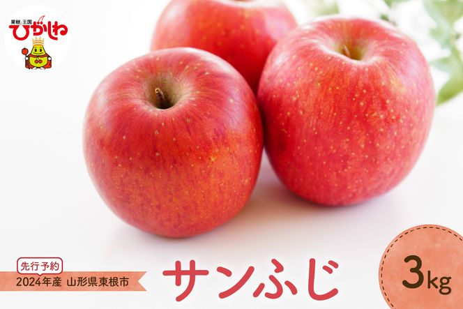 【2024年先行予約】りんご「サンふじ」3kg JA提供 hi003-113
