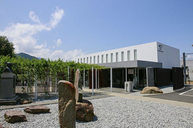 ワイン 山梨 日本のあわ 720ml ロゼ 酒 [シャトー・メルシャン 勝沼ワイナリー 山梨県 韮崎市 20743128] 