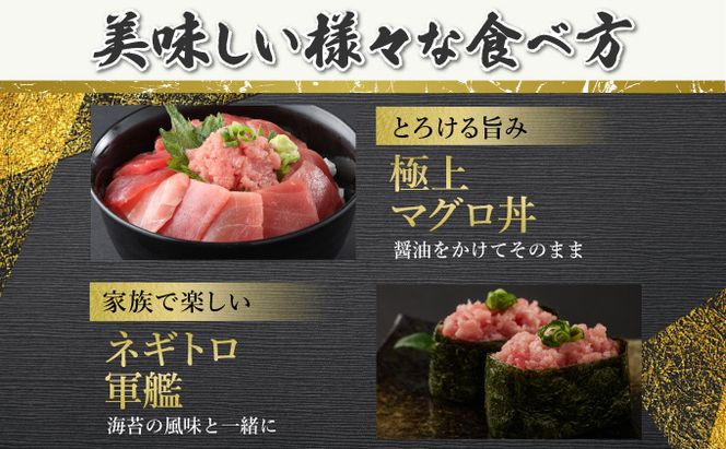 お手軽マグロ（赤身・ネギトロ）セット 計560ｇ 切り落とし ネギトロ 本まぐろ 刺身 お刺し身 本マグロ 小分け メバチマグロ 鮪 ねぎとろ マグロタタキ 赤身 10000円 1万円 手巻き寿司 海鮮丼 魚介類 魚 まぐろのたたき 惣菜 冷凍 故郷納税 送料無料 室戸 ngt　tk022