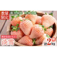 〈先行予約受付中！〉鹿児島県産いちご！特別栽培農産物 いちごの村から朝摘み「淡雪」8Pセット(計2kg・約270g×8P) e0-047