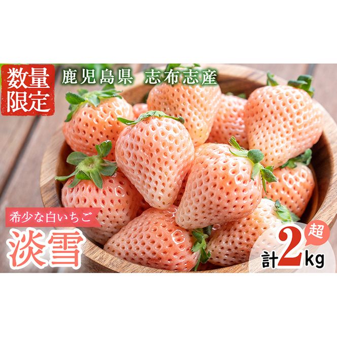 yuzuszqs\tIrYIʍ͔|_Y ̑璩E݁uWv8PZbg(v2kgE270g×8P) e0-047