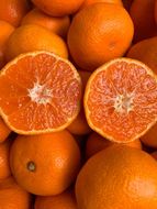 越冬本貯蔵 丹生系みかん（にゅうけい） 約5kg  秀品 2S～L［高糖系］［マルシ農園］ CC56