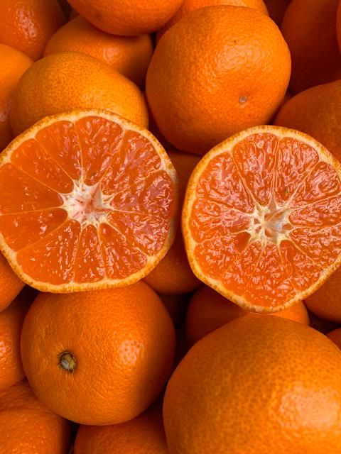 越冬本貯蔵 丹生系みかん（にゅうけい） 約5kg  秀品 2S～L［高糖系］［マルシ農園］ CC56