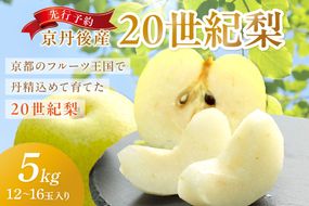 【先行予約／数量限定150】京丹後産 20世紀梨 5kg（12～16玉入り）（2026年9月上旬～発送）　JA00075