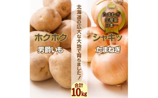 【予約：2024年9月下旬から順次発送】北海道 JAきたみらい「男爵いも・たまねぎセット」10kg ( 期間限定 野菜 玉葱 芋 セット 詰め合わせ )【005-0022-2024】