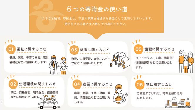 【 返礼品なし 】茨城県 八千代町 ふるさと応援寄附金 （ 10,000円 ) [ZZ004ya]